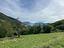 Immagine 16