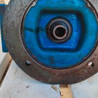 motoriduttore elettrico 