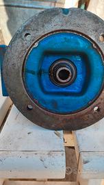 motoriduttore elettrico 