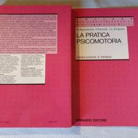 B. Aucouturier  la pratica psicomotoria