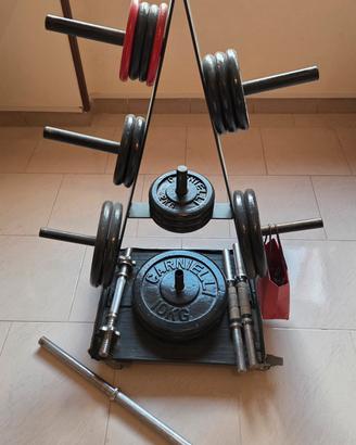 Pesi palestra