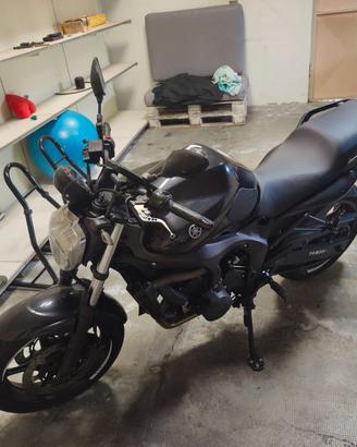 Yamaha FZ6 N 600 cc 100 CV