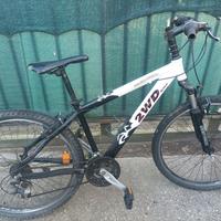 bicicletta in alluminio 