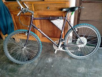 bicicletta 
