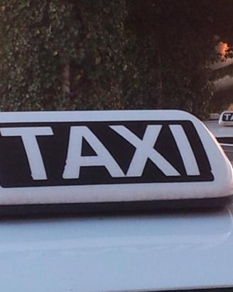 LICENZA TAXI Comune di Riccione 
