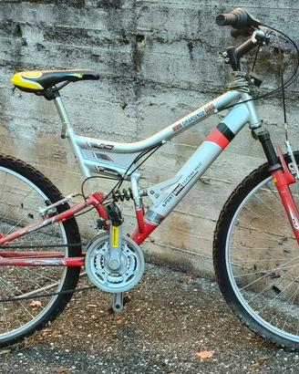 Mountain bike