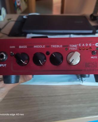 Testata Amplificatore BG250 Tc Electronic