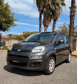 fiat panda 1.2 easy benzina