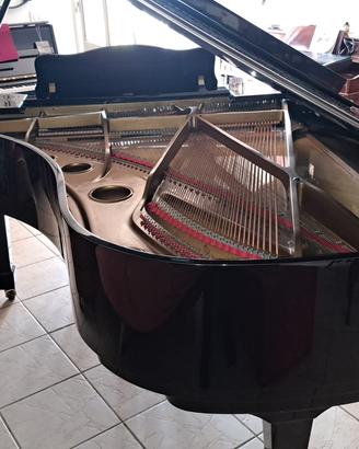 Pianoforte a coda