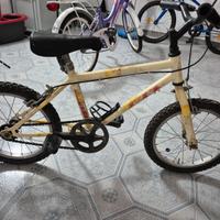 Bicicletta a Metaponto