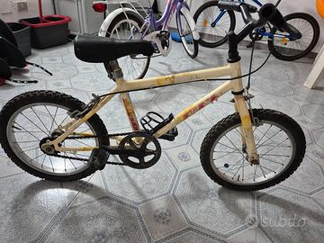 Bicicletta a Metaponto