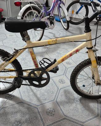 Bicicletta a Metaponto