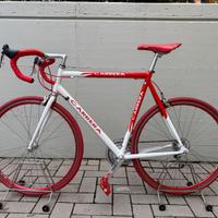 Bicicletta Carrera alluminio Campagnolo anni 2000