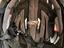 Immagine 5