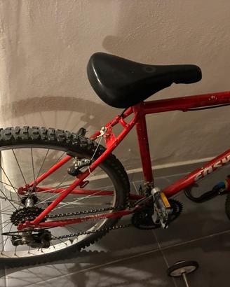 bicicletta mountain bike
