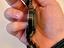 Immagine 5