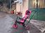 Immagine 2