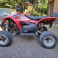 Quad Polaris Trial Blazer 330