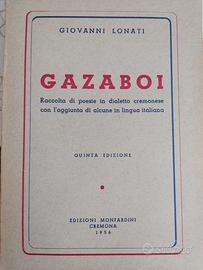 Giovanni Lonati - Gazaboi