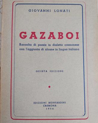 Giovanni Lonati - Gazaboi