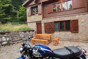 triumph Bonneville 2003