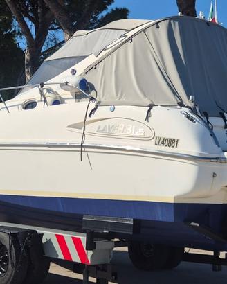 Salpa Laver 31.5