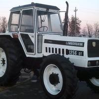 TRATTORE AGRICOLO LAMBORGHINI 1256 DT