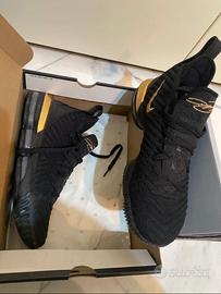 Nike Lebron XVI “i’m the king”