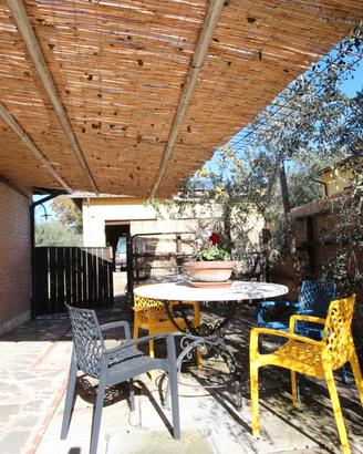 La casa della piccola cantina