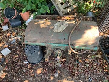 Fresa originale Goldoni