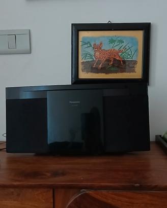 Panasonic compact stereo system