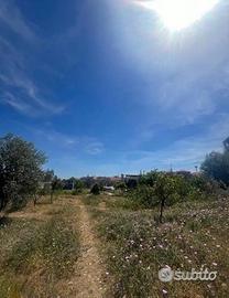 Terreno Sangiorgio Catania