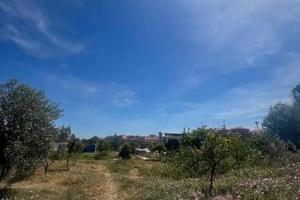 Terreno Sangiorgio Catania