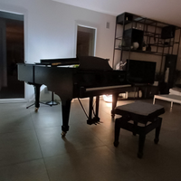 Lezioni di pianoforte-teoria e solfeggio-armonia