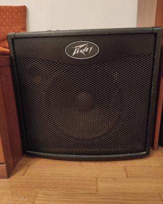 Amplificatore basso Peavey