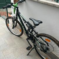 Bicicletta  Bachini 24