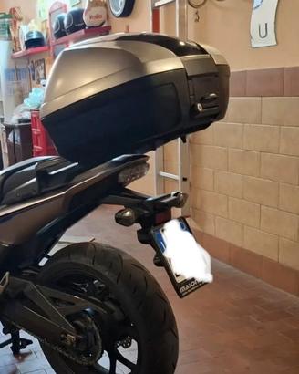 Parafango completo Integra