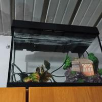 acquario per pesci