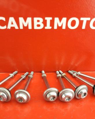 VITI COPRIVALVOLE BMW R1250R R1250GS RT RS