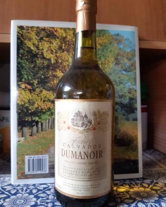 CALVADOS liquore SIDRO MELE Normadia Francia