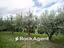 Immagine 9