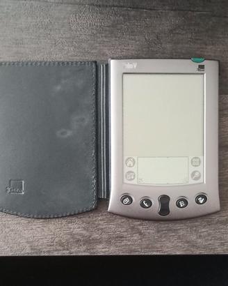 Palmare Palm V