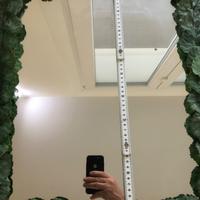 Specchio con cornice in foglie