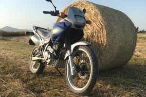 Honda Dominator 650