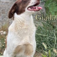 Giada una meraviglia