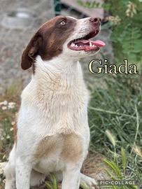 Giada una meraviglia