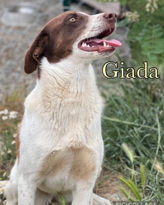 Giada una meraviglia