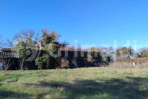 Rustico/Casale/Corte Torgiano [GRIM2945VRG]