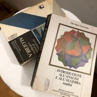 Introduzione all’Algebra (Vol. 1 e 2)