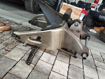 forcellone e mono honda cbr 600 del 2003